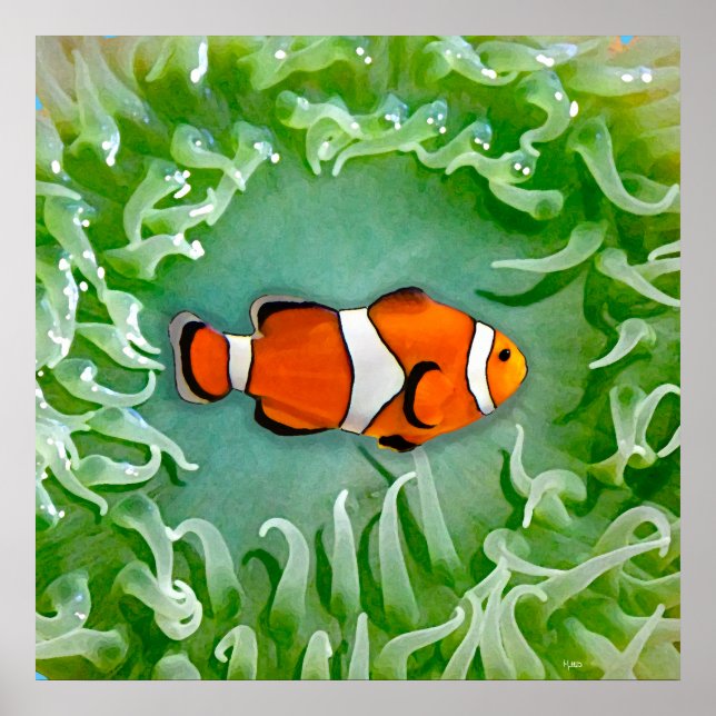 Anemone Poster (Front)