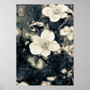 Anemone Poster