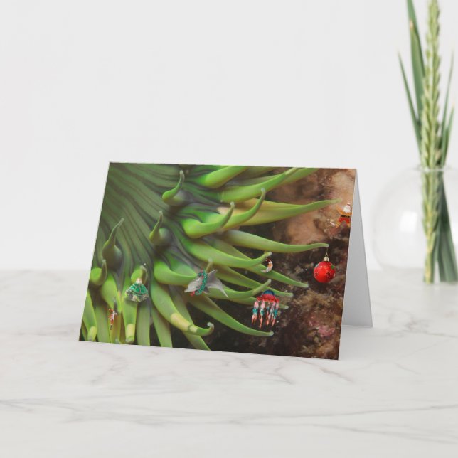 anemone xmas tree holiday card (Front)