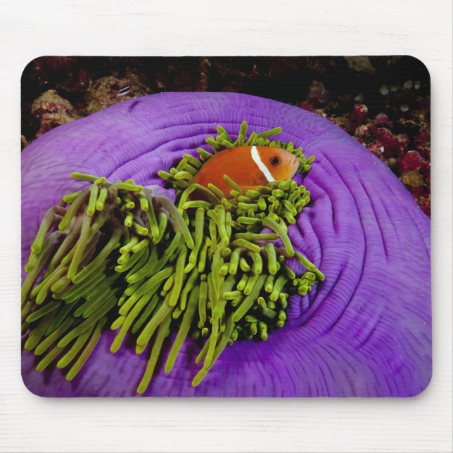 Anemonefish and large anemone mouse pad (Front)