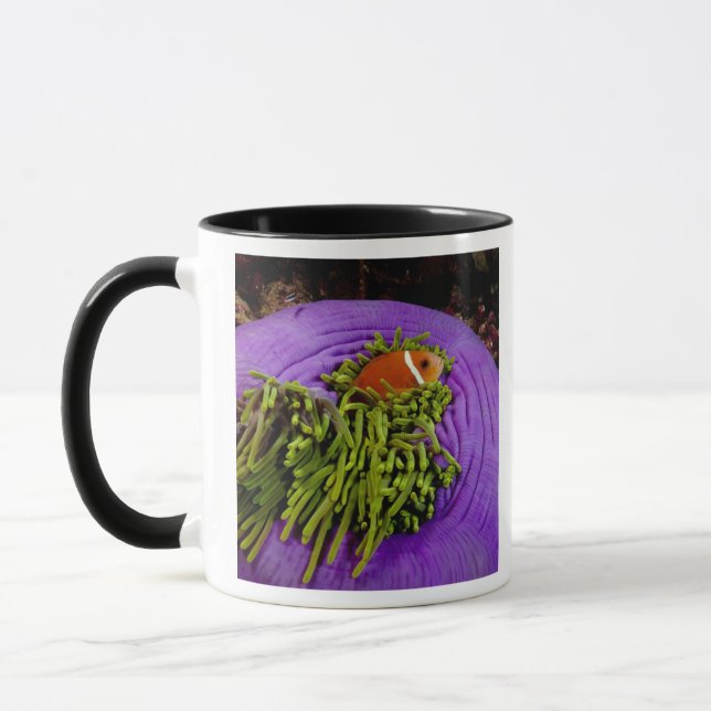 Anemonefish and large anemone mug (Left)