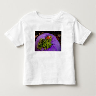 Anemonefish and large anemone toddler T-Shirt