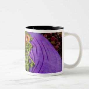 Anemonefish and large anemone Two-Tone coffee mug