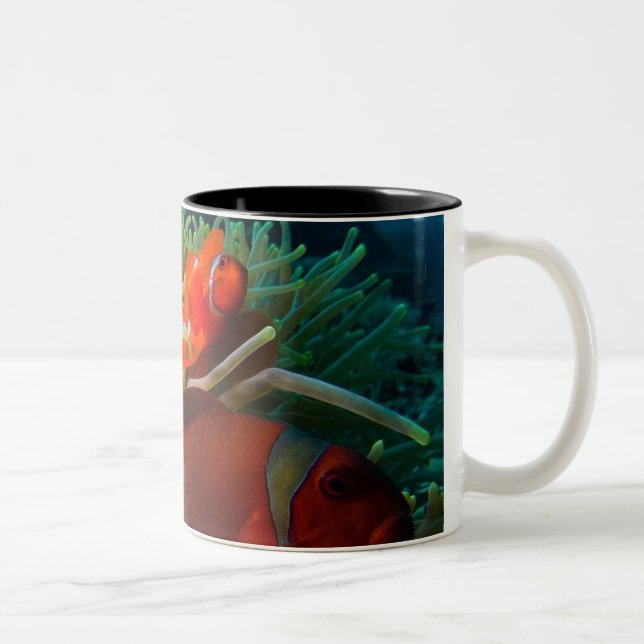 Anemonefish coffee mug (Right)