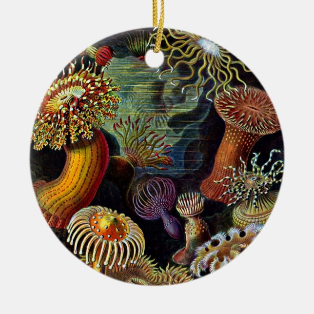 Anemones from Under the Sea Classic Round Sticker Ceramic Ornament (Front)
