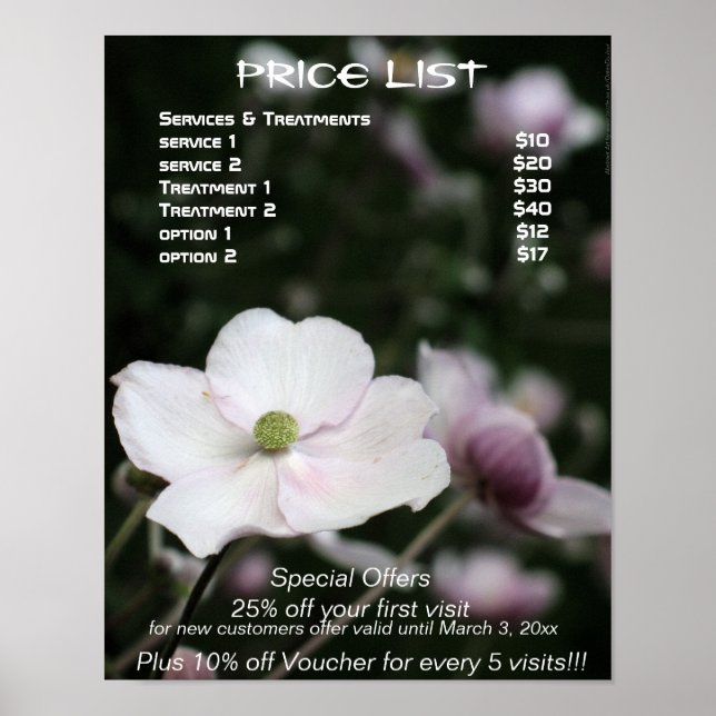 Anemones holistic treatments price list poster (Front)