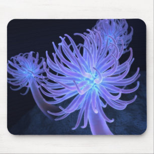 Anemones Mousepad