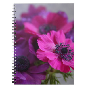 anemones notebook