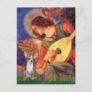 Angel3-Chihuahua1 Postcard