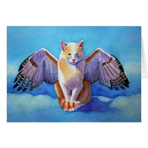 Angel Cat Red Tail Hawk