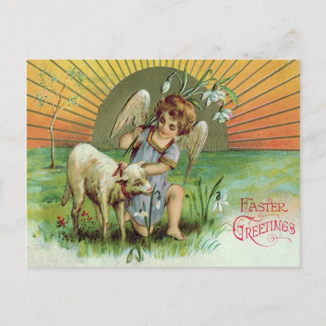 Angel Cherub Sun Lamb Sheep Postcard (Front)