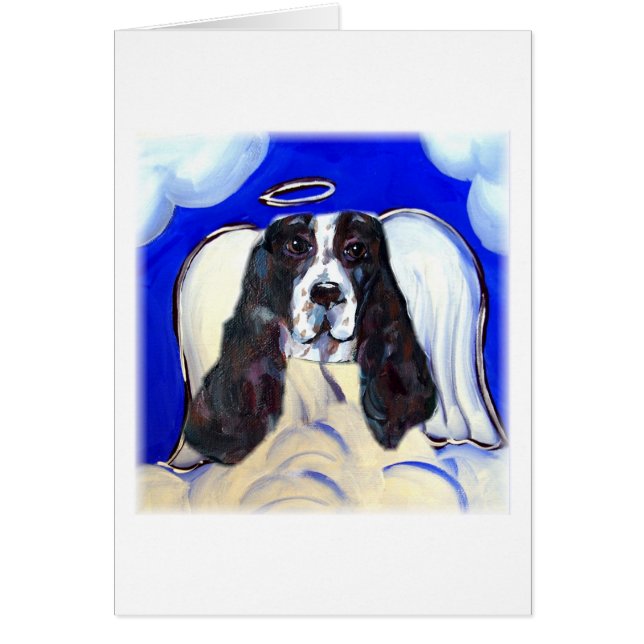 Angel English Springer Spaniel (Front)