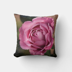 Angel Face Rose Cushion