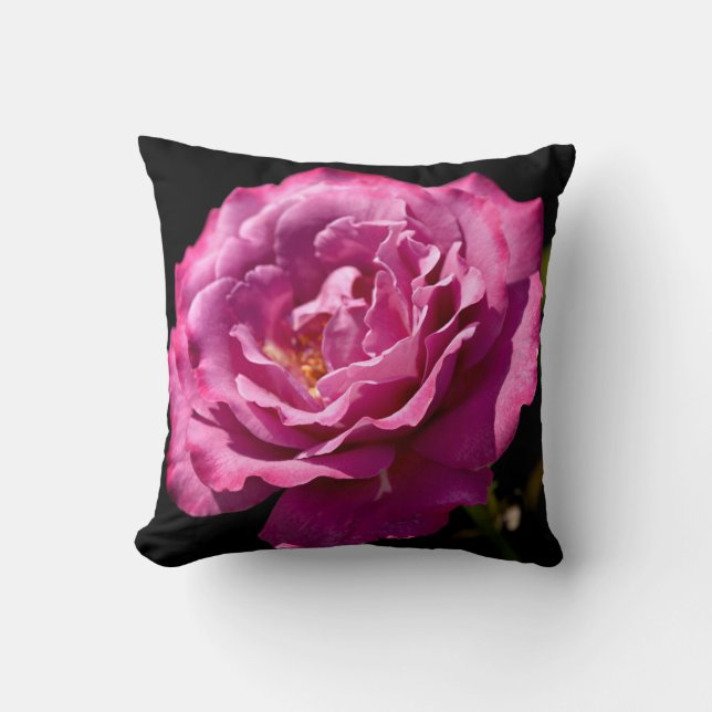 Angel Face Rose Up-Close Cushion (Front)