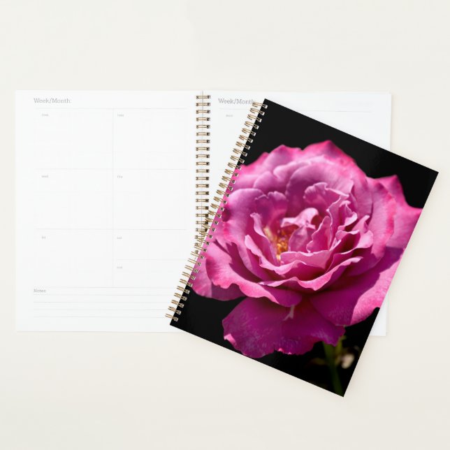 Angel Face Rose Up-Close Planner (Display)