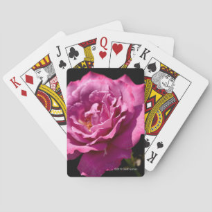Angel Face Rose Up-Close Playing Cards