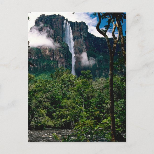 Angel Falls Postcard (Front)