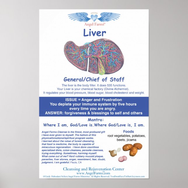 Angel Farms Liver Chart (Front)
