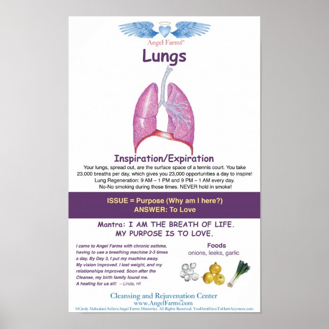 Angel Farms Lung Chart (Front)