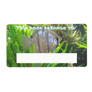 Angel Fish Book Label