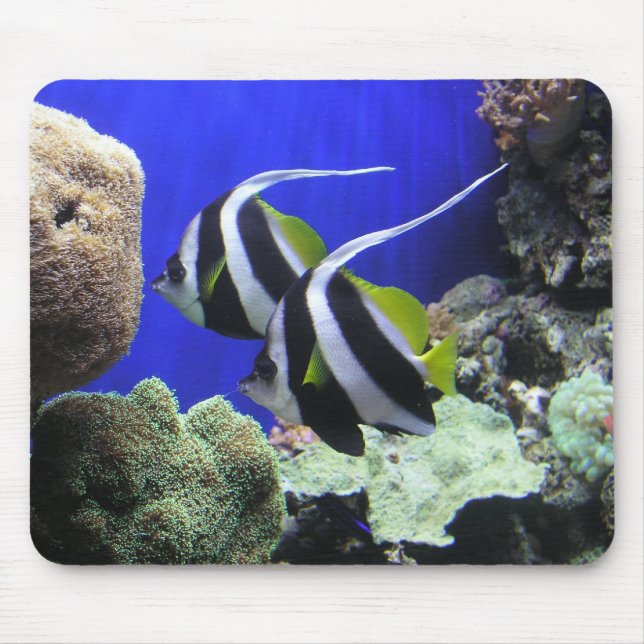 Angel Fish Mouse Pad (Front)