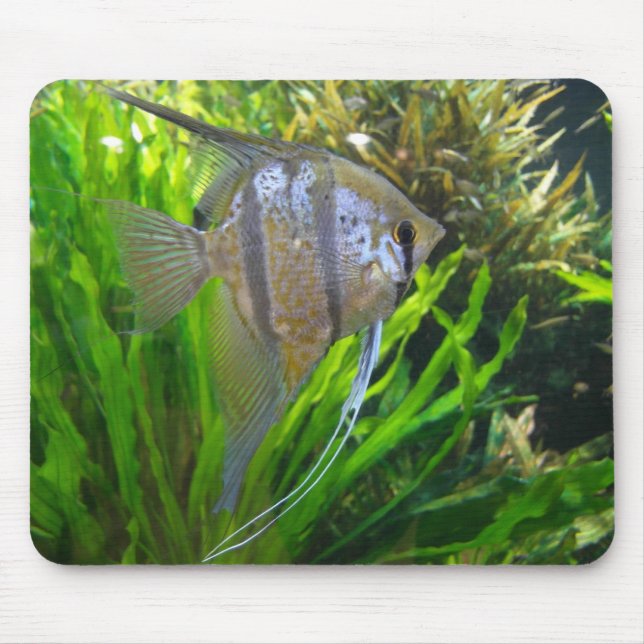 Angel Fish Mousepad (Front)