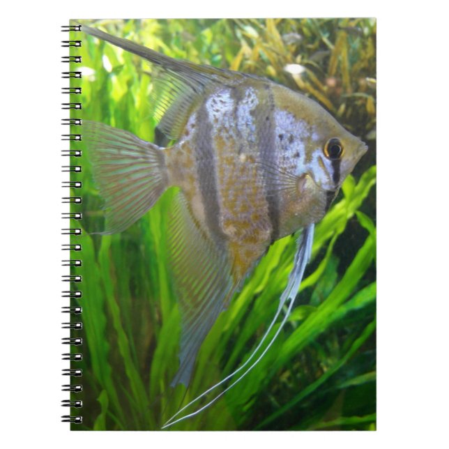 Angel Fish Notebook (Front)