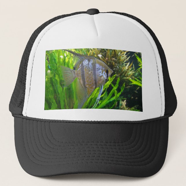 Angel Fish Trucker Hat (Front)