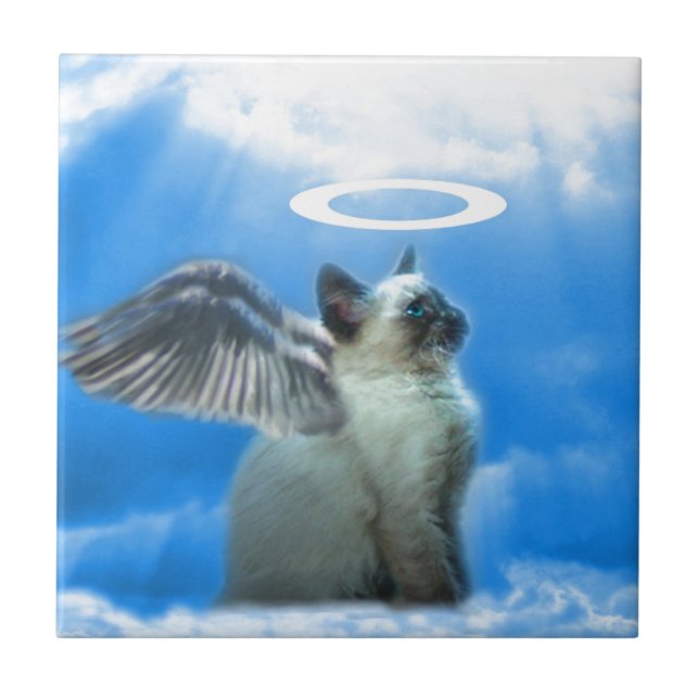 Angel Kitten Cat Ceramic Tile (Front)