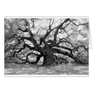 Angel Oak