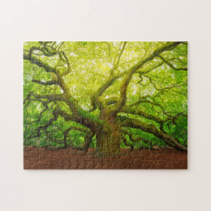 Angel Oak Jigsaw Puzzle