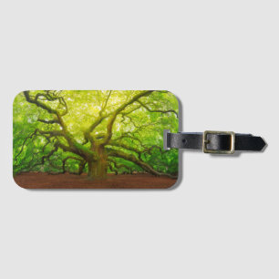 Angel Oak Luggage Tag