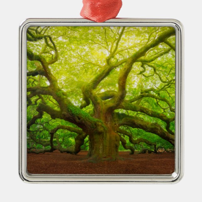Angel Oak Metal Ornament (Front)