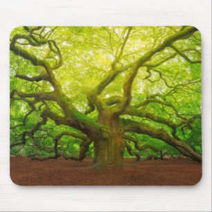 Angel Oak Mouse Pad