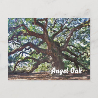 Angel Oak Postcard