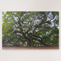 Angel Oak, South Carolina