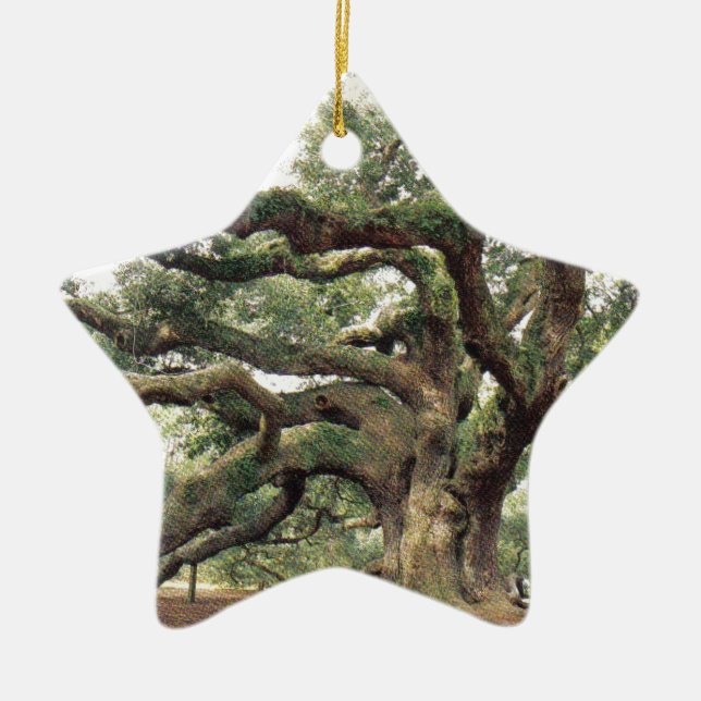 Angel Oak Tree 1,000 years old Ceramic Ornament (Front)
