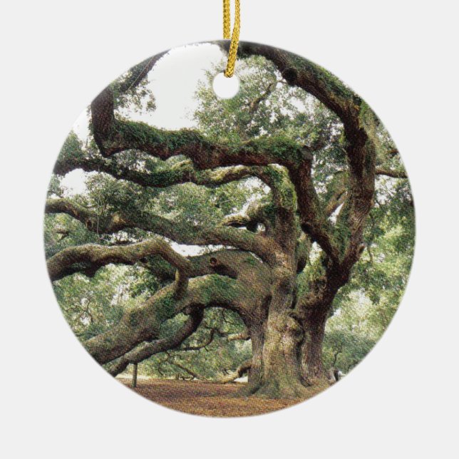 Angel Oak Tree 1,000 years old Ceramic Ornament (Front)