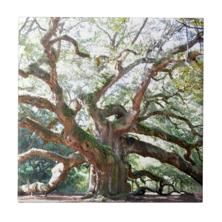 Angel Oak Tree Gifts Ceramic Tile