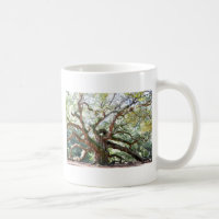 Angel Oak Tree Gifts