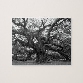 Angel Oak Tree Puzzle