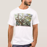 Angel Oak Tree
