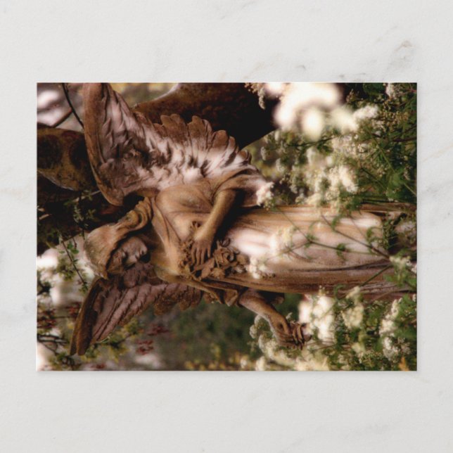 Angel of Highgate Postcard (Front)