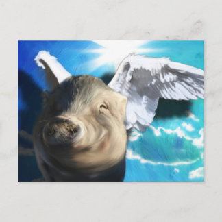 Angel Pig Postcard