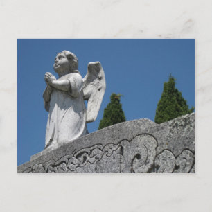 " Angel Postcard ! "