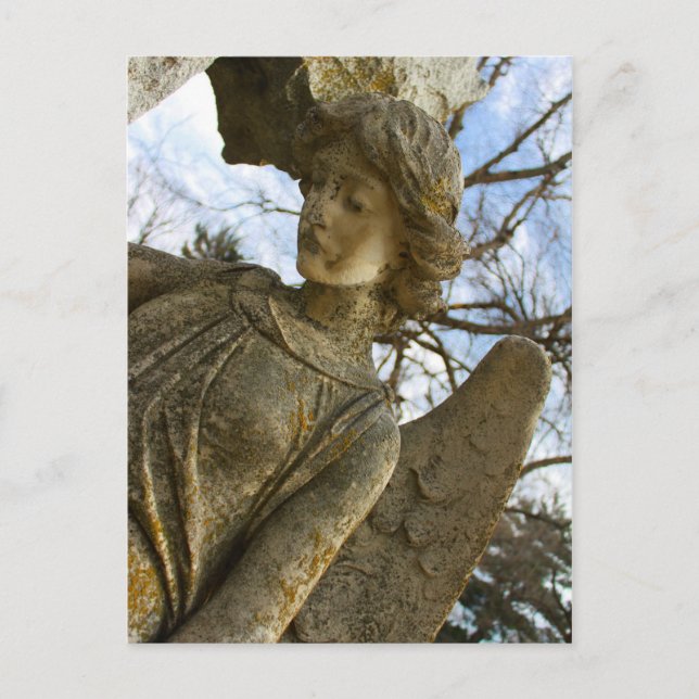 Angel Postcard (Front)