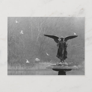 Angel Sculpture in Pond Postcard