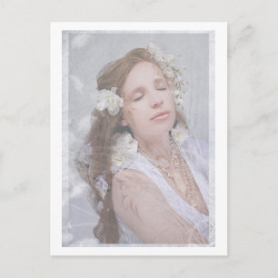 Angel "Serenity" Postcard