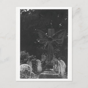Angel Statue Old Cemetery Postcard