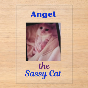 Angel the Sassy Cat Acrylic Invitations
